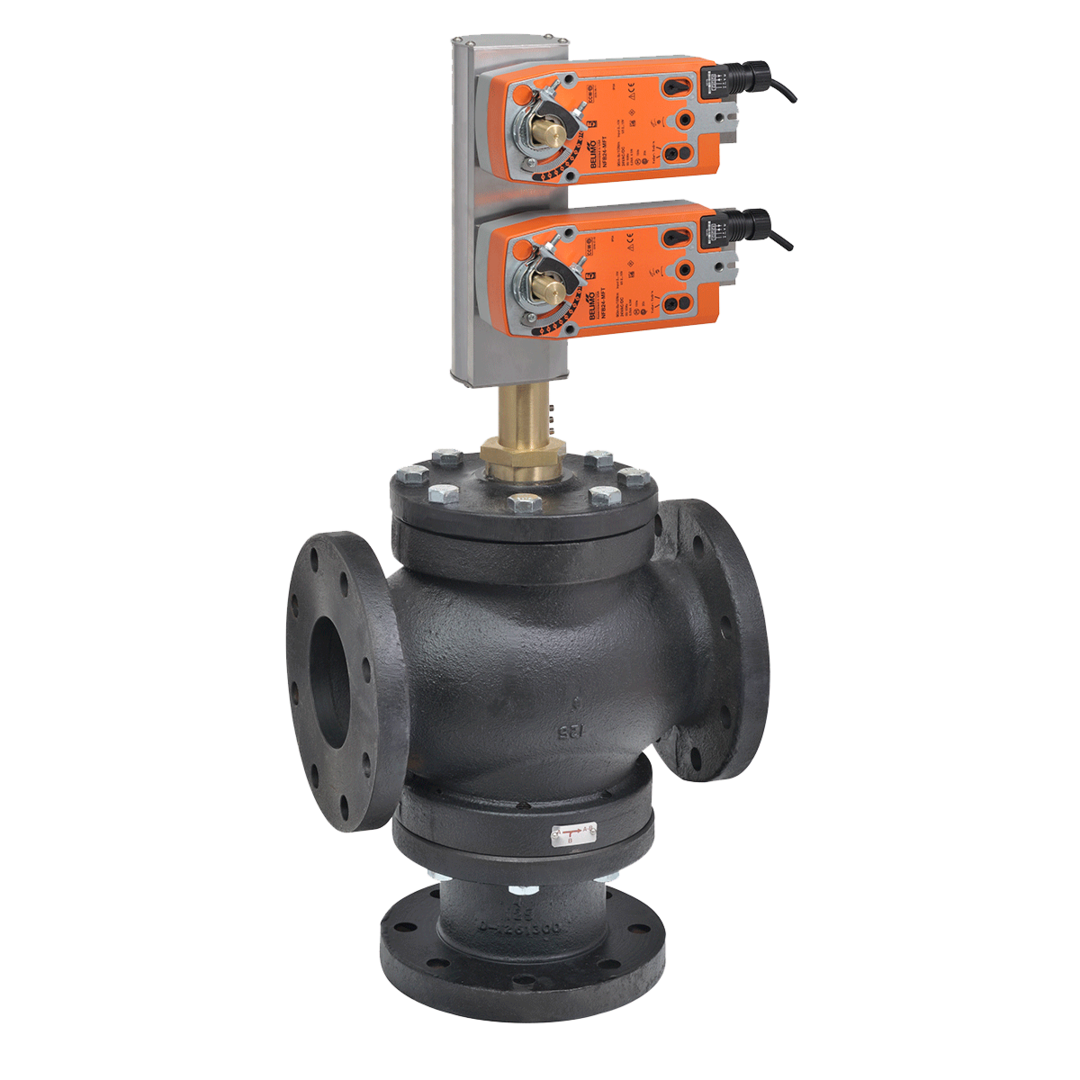 Globe Valve
